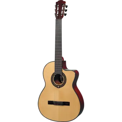Classic Acoustic Guitar