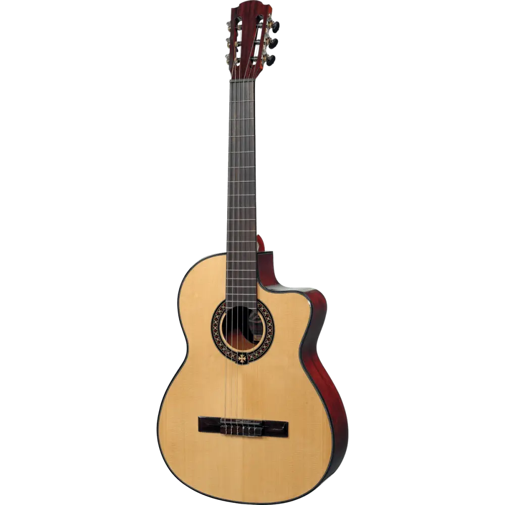 Classic Acoustic Guitar