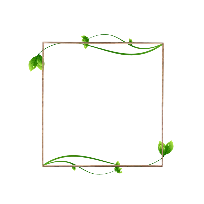 Green Leafy Frame