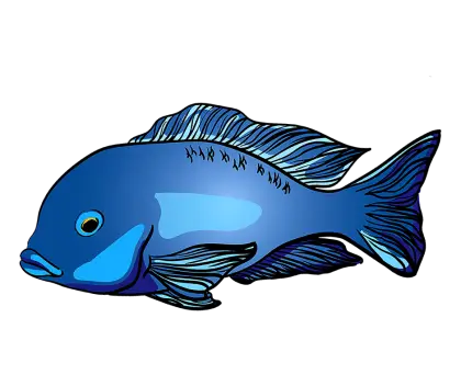 Blue Fish Graphic Illustration