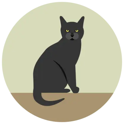 Stylized Black Cat Illustration