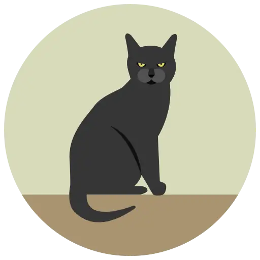 Stylized Black Cat Illustration