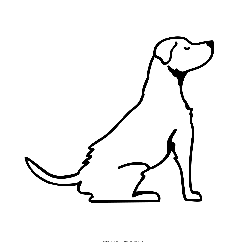 Outline of a Sitting Dog