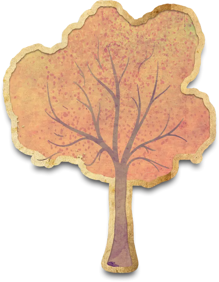 Autumn Tree Illustration