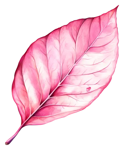 Pink Leaf Illustration