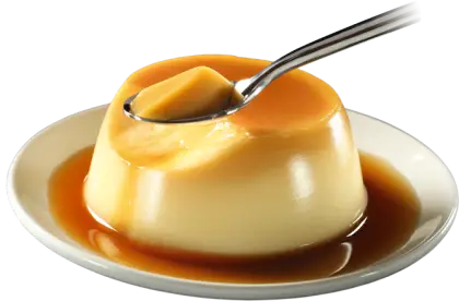 Delicious Flan Dessert with Caramel Topping