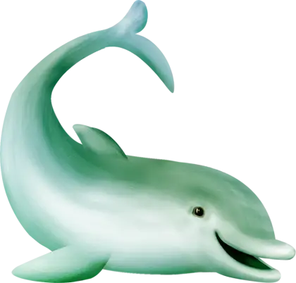 Cute Cartoon Dolphin Illustration