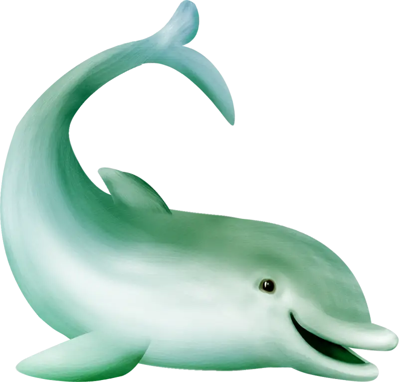 Cute Cartoon Dolphin Illustration