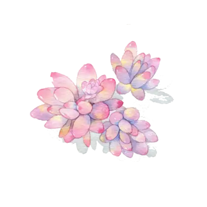 Watercolor Succulent Flowers