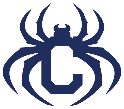 Spider Logo Design