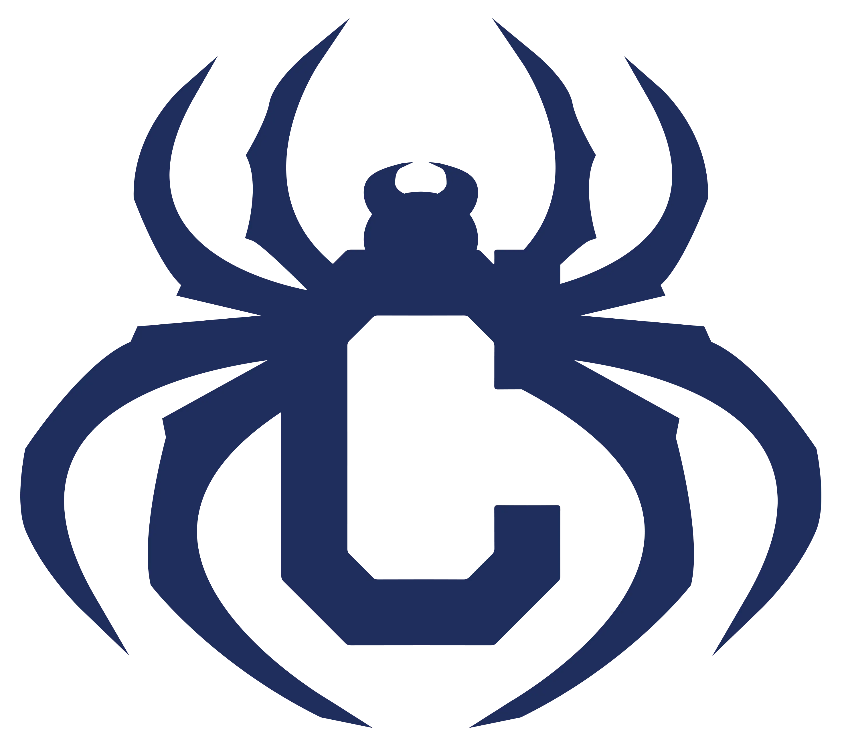 Spider Logo Design
