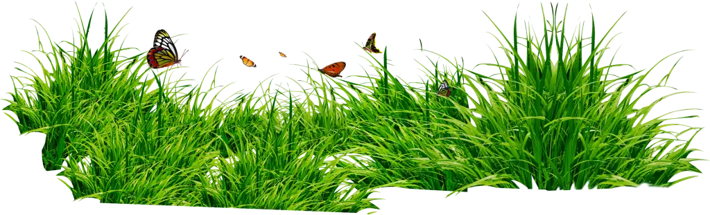 Butterflies Flying Over Lush Green Grass