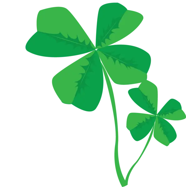 Green Four-Leaf Clover Illustration