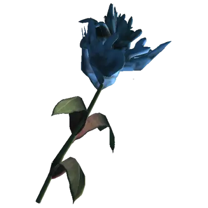 Single Blue Flower in Bloom