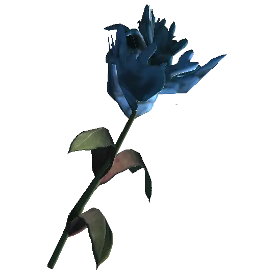 Single Blue Flower in Bloom