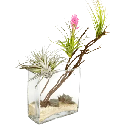 Decorative Plant in Glass Vase