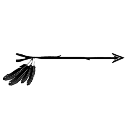 Black Arrow with Feathers