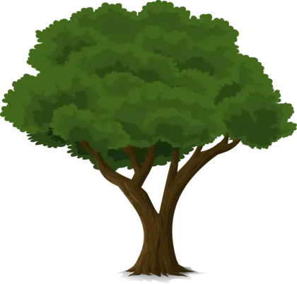 Lush Green Tree Illustration