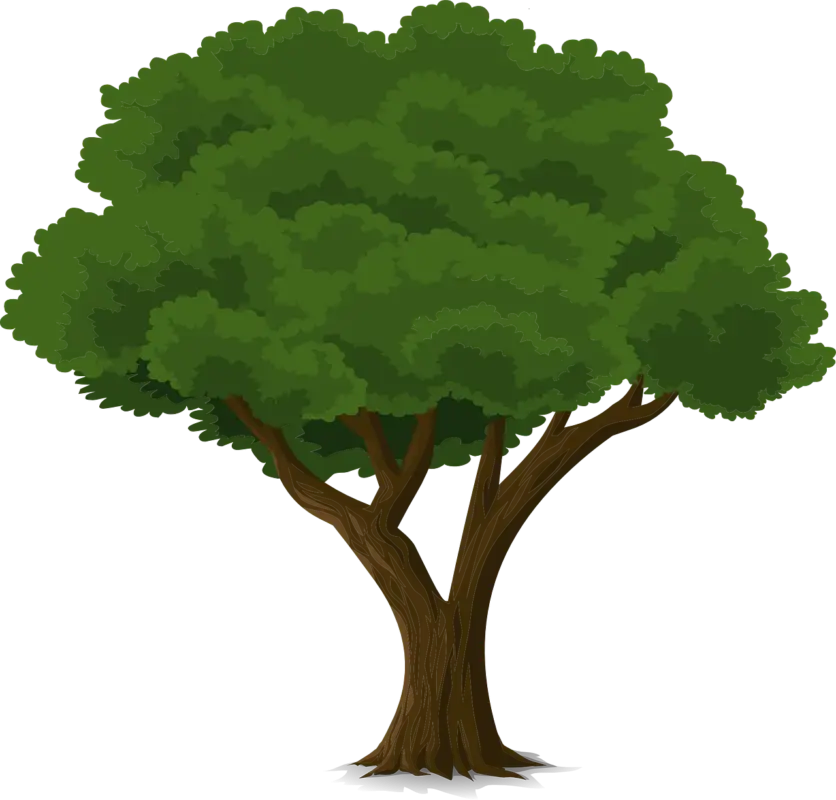 Lush Green Tree Illustration