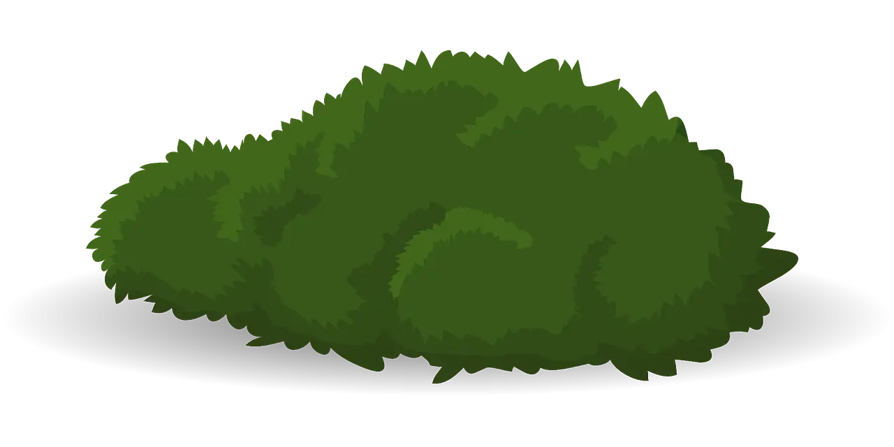 Lush Green Bush Illustration