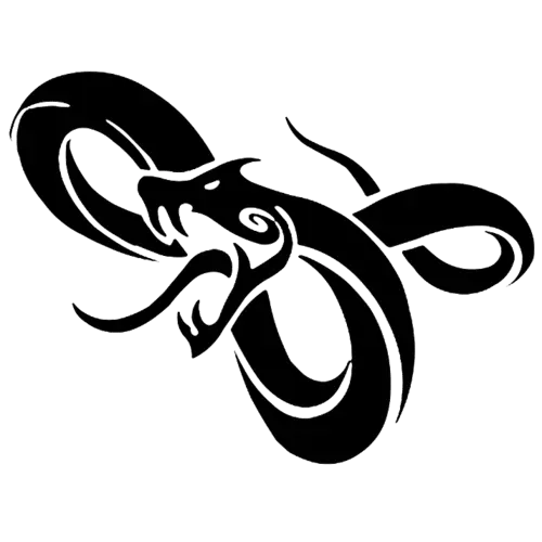 Intricate Black Dragon Tattoo