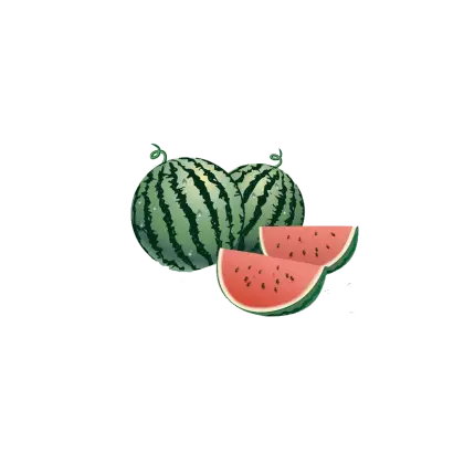 Watermelon and Slices Illustration