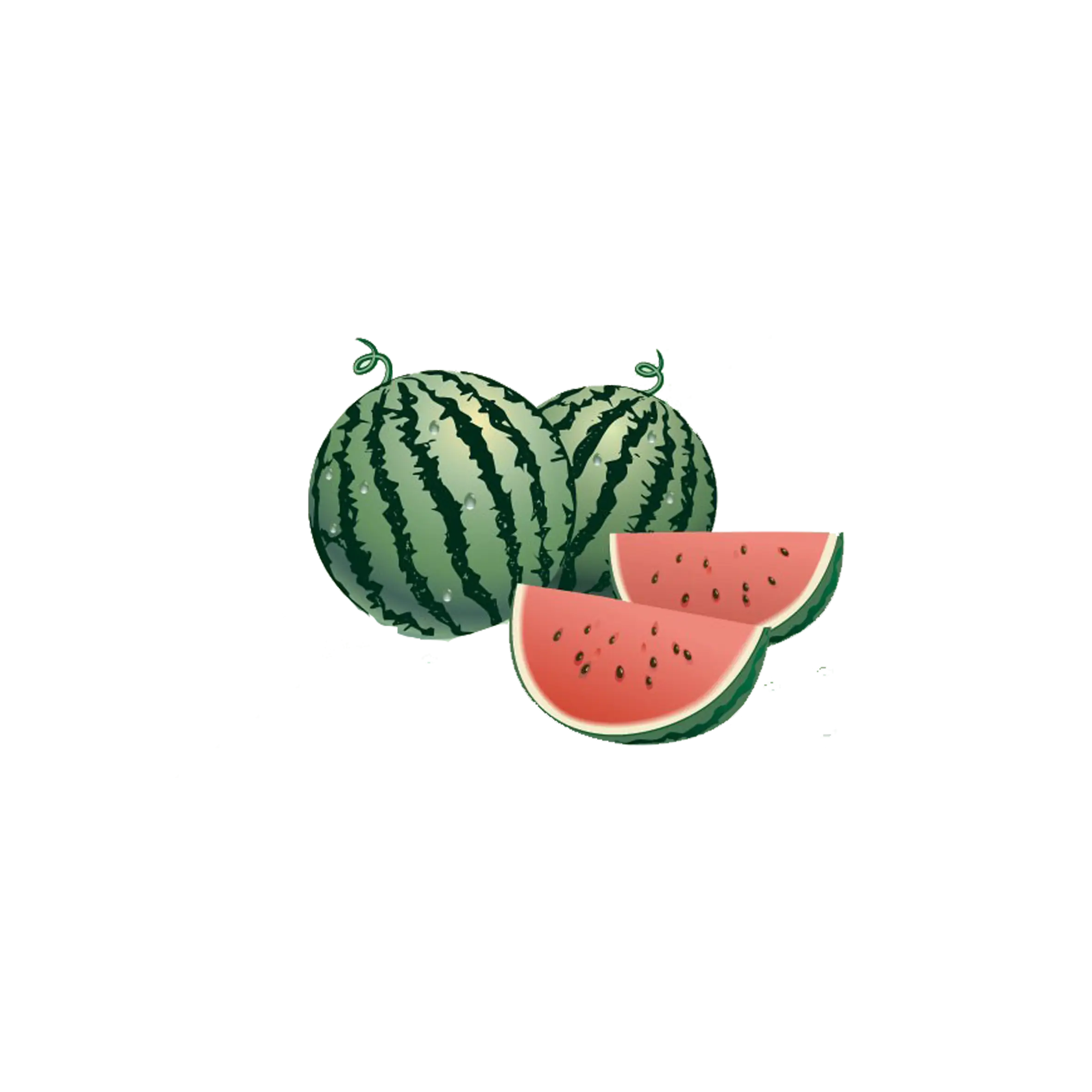 Watermelon and Slices Illustration