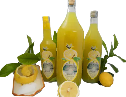Refreshing Lemon Juice Bottles