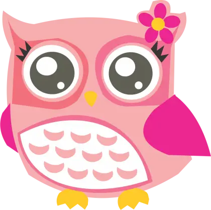 Pink Cartoon Owl with Flower Decoration