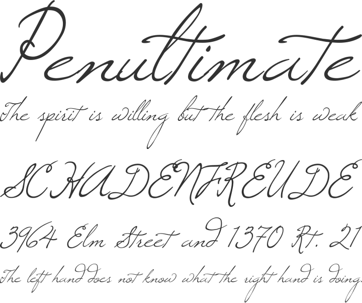 Elegant Cursive Handwriting Font