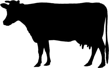 Silhouette of a Cow Illustration