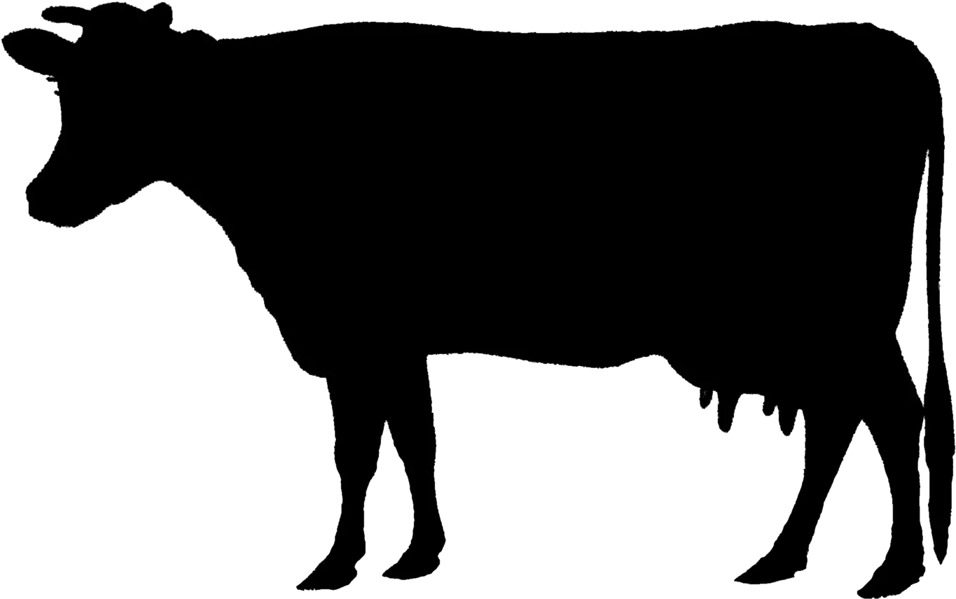 Silhouette of a Cow Illustration