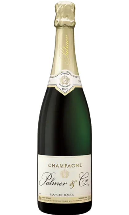Elegant Champagne Bottle for Celebration