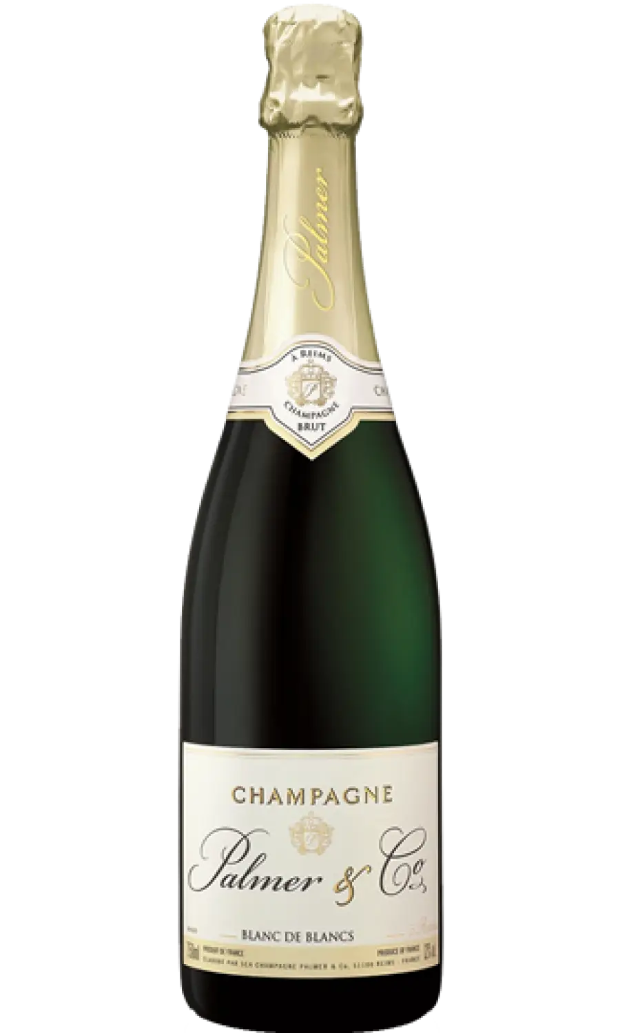 Elegant Champagne Bottle for Celebration
