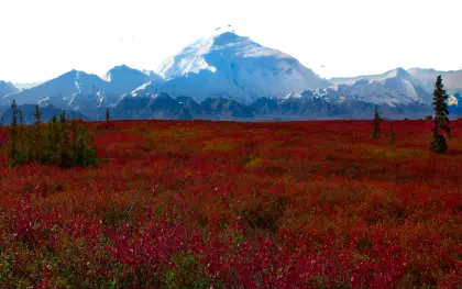 Snow-Capped Mountain Landscape