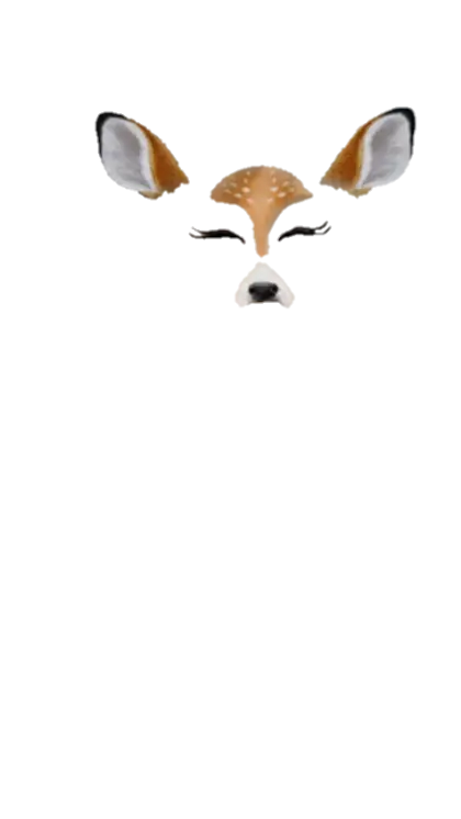 Cute Deer Face Illustration