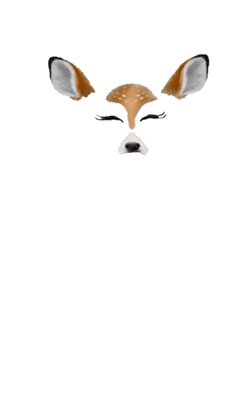 Cute Deer Face Illustration