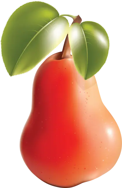 Fresh Red Pear Illustration