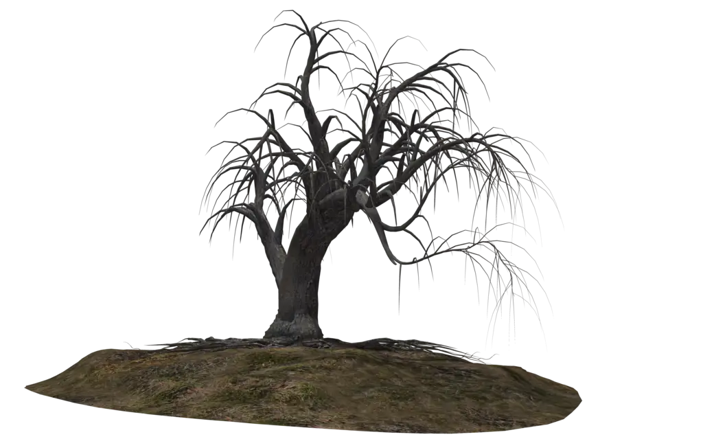 Barren Dead Tree on Soil