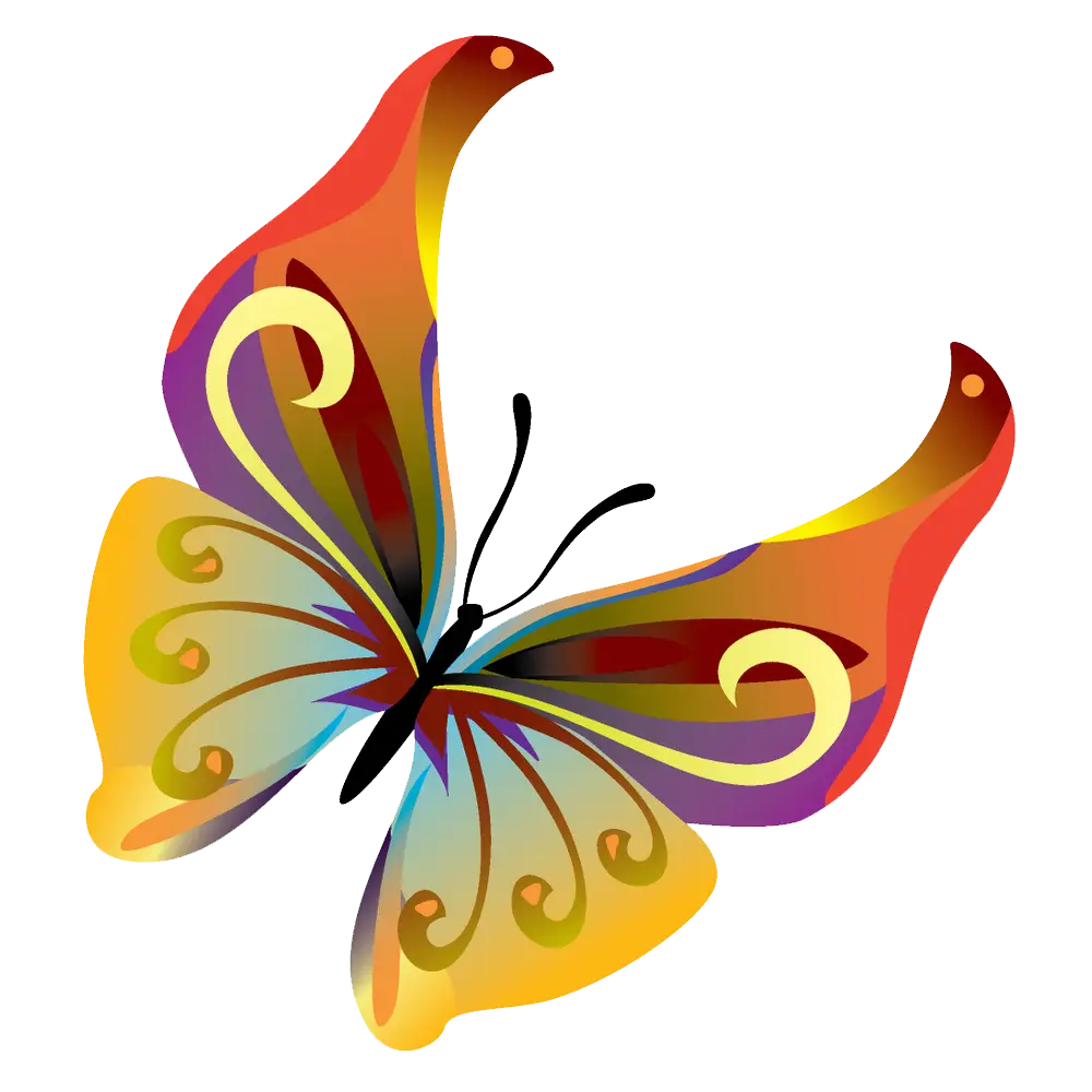 Vibrant and Colorful Butterfly Illustration
