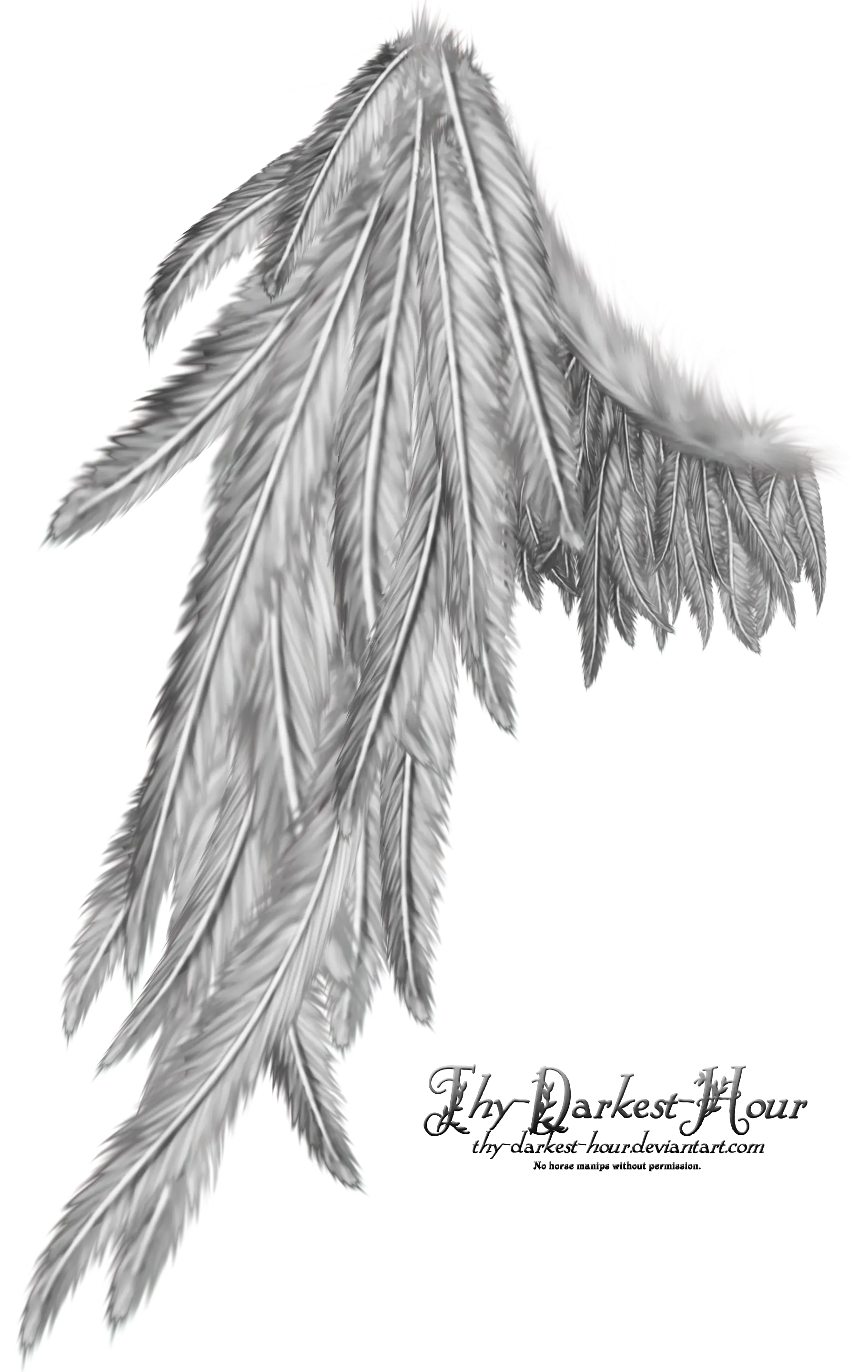 Gray Angel Wing Illustration with Feathery Details