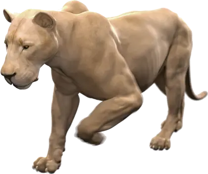 Majestic Lioness in Motion