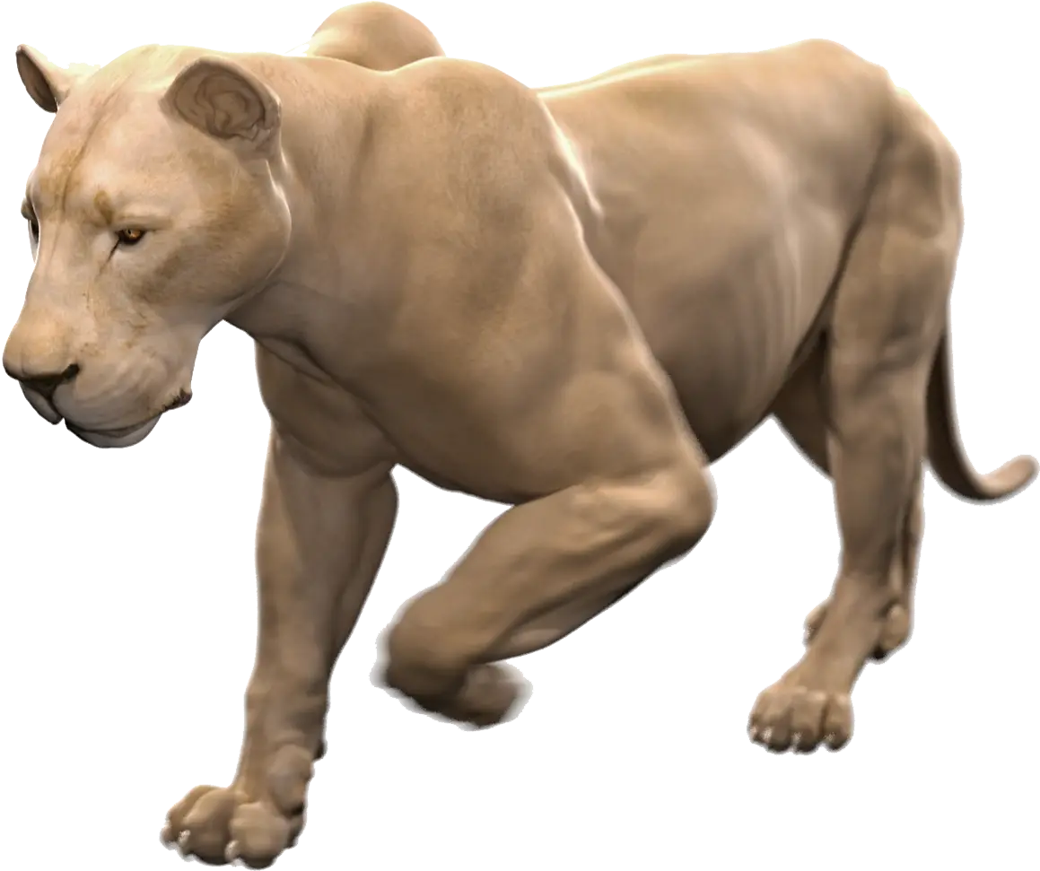 Majestic Lioness in Motion