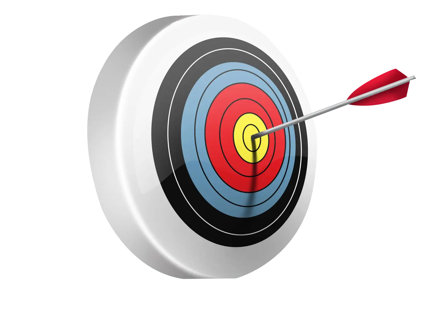 Arrow in Target for Archery