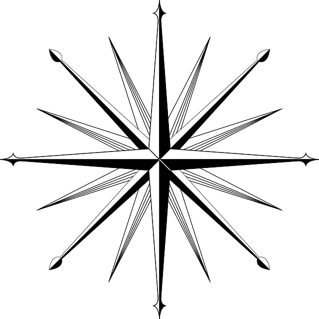 Black Compass Rose for Navigation and Mapping