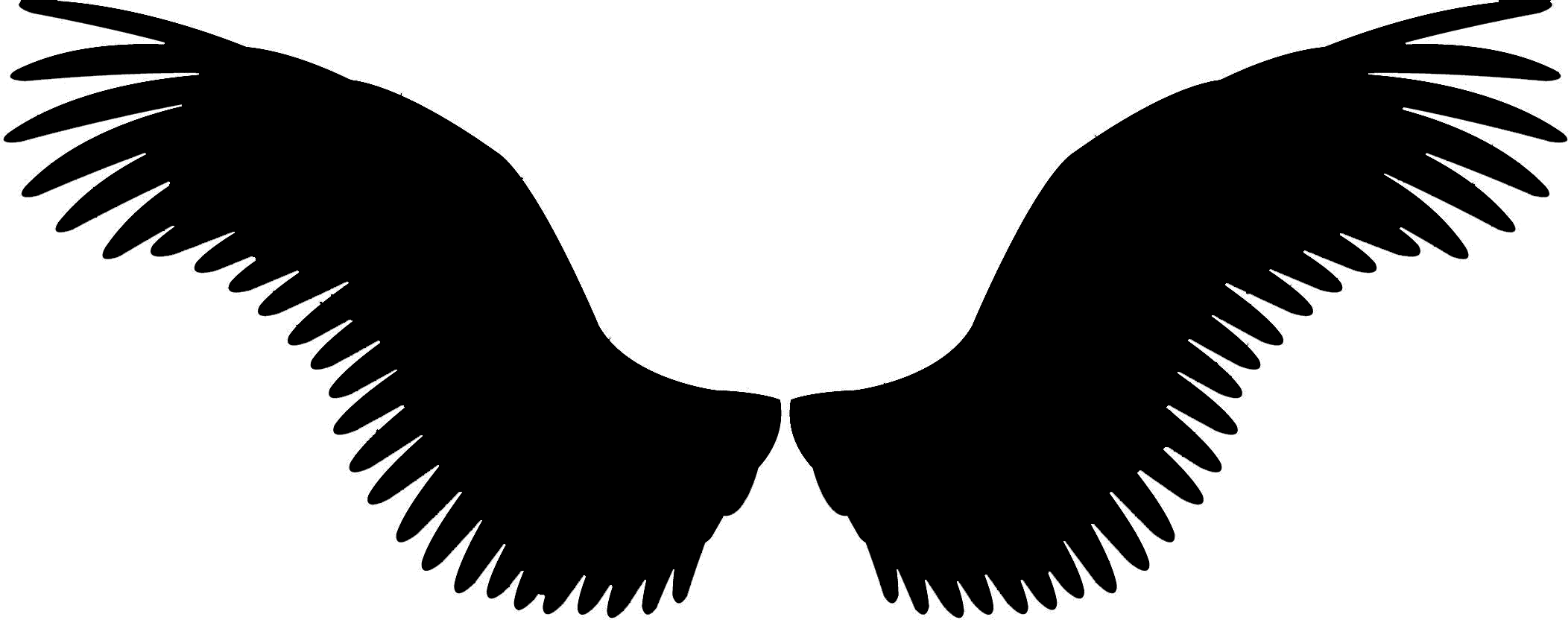 Symbolic Black Wings Silhouette
