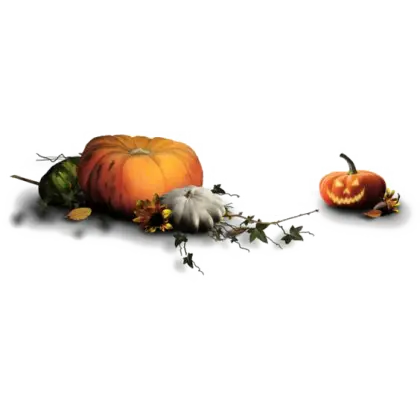 Pumpkins and Jack-o&#039;-Lantern for Halloween
