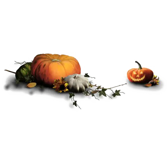 Pumpkins and Jack-o&#039;-Lantern for Halloween
