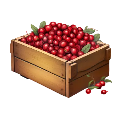Wooden Crate Filled with Fresh Cranberries