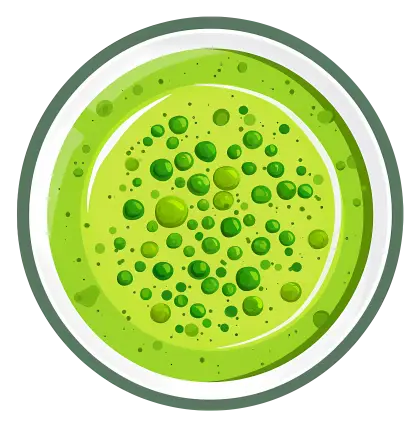 Green Soup with Bubbles Illustration